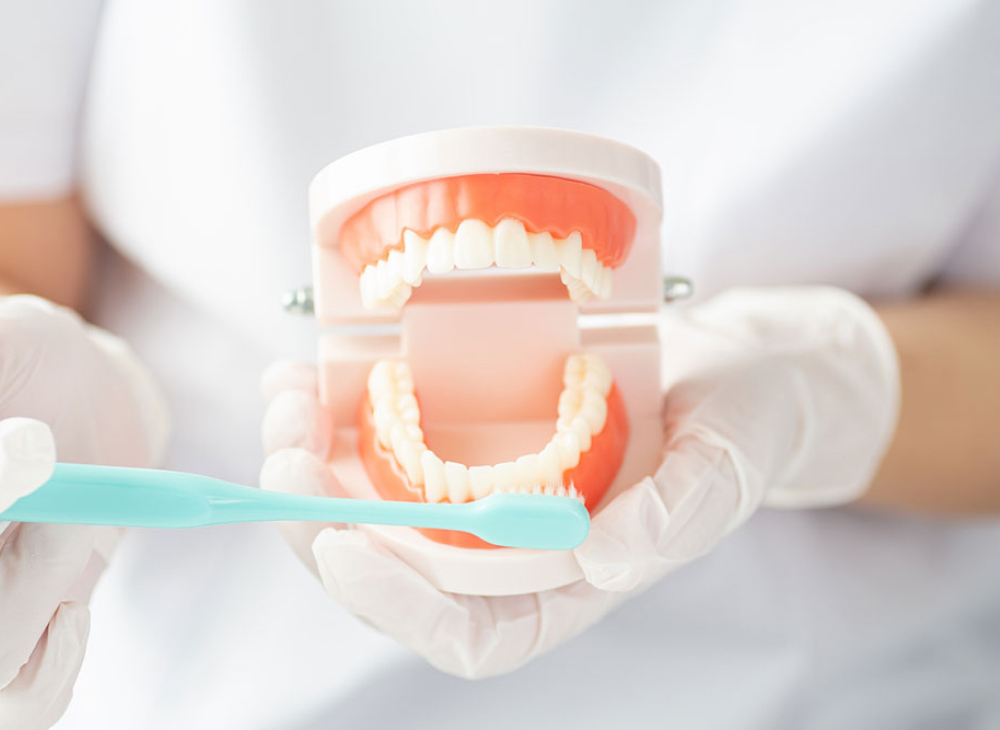 ブラッシング指導